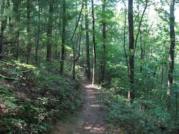 There are 45 campsites for which are perfect for small rv's and tents. Category Pinhoti Trail Hiking The Appalachians And Beyond