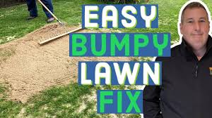 A neat, level lawn is the dream of everyone from homeowners to greenskeepers. How To Level A Lumpy Lawn Premier Lawns