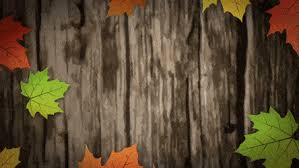 Check spelling or type a new query. Best Free Festival Background Video Effects Gifs Gfycat