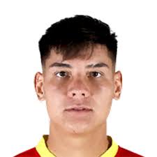 Milovan Cristóbal Celis Iturriaga