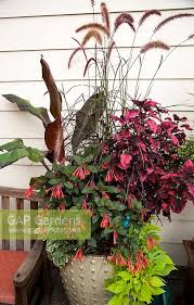Mixed Summer Contain Stock Photo By Jerry Pavia Image 0530332