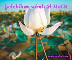 There is a sura in the quran that comprises of thirty verses that call for a man until his sins are forgiven. this implies if an. Kelebihan Surah Al Mulk Yang Bagus Diamalkan Dalam Kehidupan Seharian