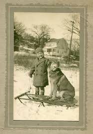Boy With Dog On A Sled C 1920 Photo In Women S Clothing Ebay Vintage Dog Dogs And Kids Dog Images