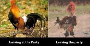 Funny images funny pictures funny pics funny stuff funny photoshop shops powerful images before and after pictures music love. Funny Before And After Photos Memolition