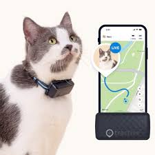 Limitations of Bluetooth Cat Trackers - Tractive