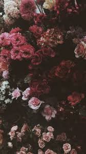 Wallpaper for iphone | get the best 25+ floral wallpaper ideas inspired with tumblr aesthetics and download them free for your. Pin By R Dilan On Lockscreens Flower Wallpaper Flower Aesthetic Floral Wallpaper