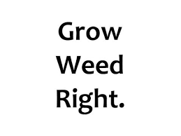 Cost of running grow lights. Grow Light Cost Calculator Estimate Monthly Grow Light Electricity Cost