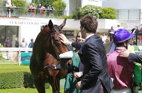 Na aan te melden op galop.be kan u evenementen toevoegen in de kalender, zoekertjes toevoegen, uw bedrijf toevoegen in de bedrijvengids, uw registratie voor de nieuwsbrief aanpassen Questions Answers France Galop