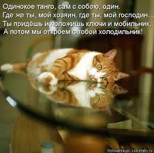 Резултат с изображение за „шутки“