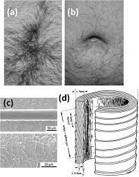 In the curious case of australian hospital worker graham barker much of his fluff is red, even though he rarely wears the colour. Modeling The Production Of Belly Button Lint Scientific Reports