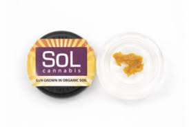 South lake tahoe is the most populous city in el dorado county and sits on the border next to the state of nevada. Cannabis Extract Lake Tahoe