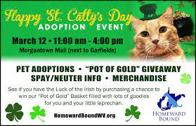 Pin By Brianne Youngberg On Adoption Marketing Pet Adoption Pets Adoption