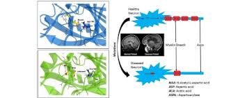 Docking Molecular Dynamics And Free Energy Studies On Aspartoacylase Mutations Involved In Canavan Disease Sciencedirect