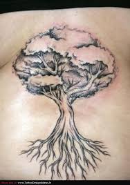 Maybe you would like to learn more about one of these? Index Of Images 464