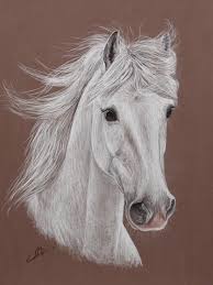 Un dessin de votre cheval + vidéo page 27