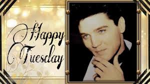 cousin dresses dog like elvis