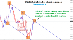 Usd Cad Live Chart Archives Forex Gdp