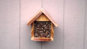 If this is not an option, choose a house design that provides adequate shelter from the elements on its own, like the beeworks kit with bees. How To Hang Your Bee House Youtube