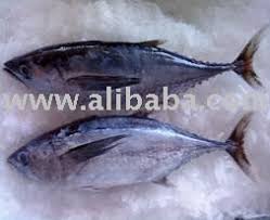 Ikan yang digunakan biasanya ikan aya hitam (ikan tongkol) yang bersaiz besar, dipotong. Longtail Tuna Aya Hitam Products Malaysia Longtail Tuna Aya Hitam Supplier