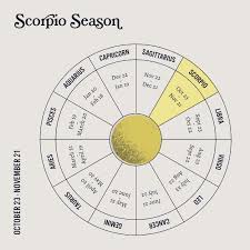 Wibracja dnia, wikipedia, numerologia, astrologia, shazza wiek. Poznaj Znak Zodiaku Skorpion