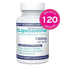 Lipozene Mega Bottle Fat Burner Appetite Suppressant Weight Loss Pills Capsules 120 Ct Walmart Com Walmart Com