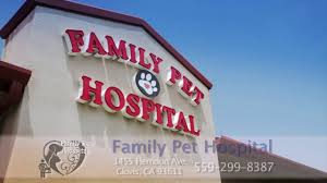 It was late sunday afternoon when my dog needed medical attention, and finding. About Our Pet Hospital In Clovis Ca Family Pet Hospital