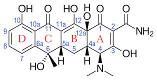 Tetracycline Antibiotics Wikipedia