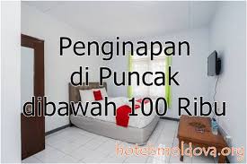 Penginapan populer dekat tempat wisata yang menawarkan fasilitas lengkap, pelayanan terbaik dan lokasi yang strategis. 10 Penginapan Murah Di Puncak Bogor Untuk 2 Orang Harga Sewa 1 Kamar Dibawah 100 Ribu View Bagus Ada Kolam Renang