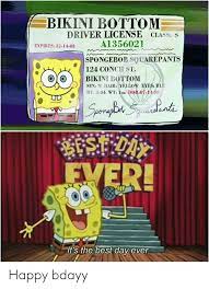 Sleepy time is a spongebob squarepants episode from season 1. Bikini Bottom Driver License Class S A1356021 Expires 12 11 03 Spongebob Squarepants 124 Conch St Vikini Bottom Sex M Hair Yellow Eyes Blu Ht0 04 Wt 1oz Dob07 14 86 Sponrgbirt Sqeacalante Fver It S The Best