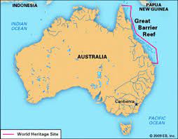 My boat left from cairns, the epicenter of scuba diving for the great barrier reef… Tuchmanbeachesguide Com Nbsptuchmanbeachesguide Resources And Information Barrier Reef Australia Great Barrier Reef Barrier