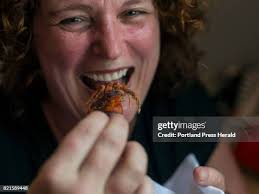 78 Taste Of Maine Restaurant Stock Photos, High-Res Pictures, and Images