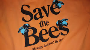 Schicke sweatshirts für modebewusste damen jetzt bequem bei monari online bestellen. Golf Wang Save The Bees Hoodie Orange Youtube