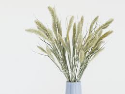 Dried flower baby breath caspea statice limonium bunga tanaman kering: 5 Jenis Bunga Kering Yang Cocok Untuk Hiasan Ruangan Di Rumah