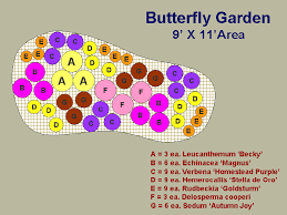 Butterfly Garden Outline Would Be A Great Idea Around The Tree In The Front Yard Butterfly Garden Design Butterfly Garden Butterfly Garden Layout