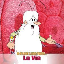 Un ensemble étudié pour les bébés ! Il Etait Une Fois La Vie Videos Lumni