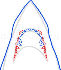 Doctor's notes on broken jaw symptoms, signs, causes, and treatment. How To Draw Jaws Coloring Page Trace Drawing