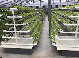 Commercial Vertical Grow Technologies Vertical Hydrogarden Vertical Farming Vertical Hydroponics Hydroponics