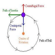Centrifugal Force Opposite To The Centripetal Force Both Are Balanced So Path Of Inertia Is Perpendicular Gravity Science Centripetal Force Physics Classroom