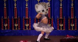 Want more gifs like this? 25 Most Funny Dance Gif Pictures And Images