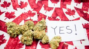 A Marijuana First This Canadian Pot Stock Just Uplisted To
