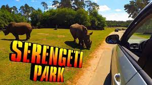 3 san diego zoo safari park. Ein Tag Im Serengeti Park Hodenhagen Youtube