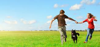 Get free quotes in minutes from reviewed, rated & trusted pickup & delivery near me on airtasker but your delivery service may cost more or less depending on the type of items you need delivered, the size of the items, when you need them. Personalized Pet Shipping Relocation Services Happy Tails Travel