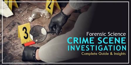 Forensic investigators examining a marked recovery grid during an active inquiry
