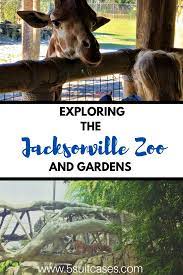 The Jacksonville Zoo And Gardens Is One Of The Premier Zoos In Our Country Check Out The Top Not Great Ape And Tiger Exhibits Jacksonville Zoo Zoo Travel Usa
