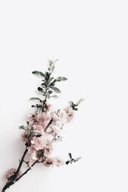 Aysun Flower Wallpaper Iphone Wallpaper Vintage Watercolor Wallpaper Iphone