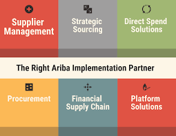 How To Select The Best Ariba Implementation Partner