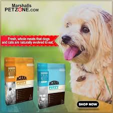 Acana small breed puppy is formulated to meet the nutritional levels established by fediaf for all life stages, except for growth of great dane puppies prior to 14 weeks. Acana Pet Food Biologically Appropriate Food Large Breed Dog Food Small Breed Dog Food Best Dog Food