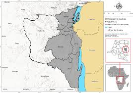 Image result for Dioscorea quartiniana