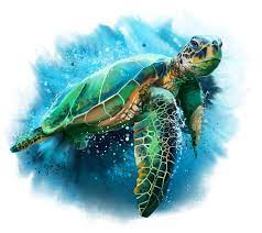 Green Sea Turtle By Kajenna Sea Turtle Watercolor Turtle Watercolor Sea Turtle Watercolor Painting