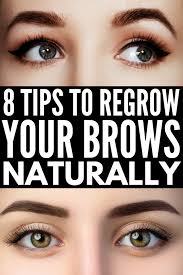 Dry eyes and hair loss. How To Grow Eyebrows Fast 8 Brow Hacks That Actually Work How To Grow Eyebrows Grow Eyebrows Faster Hair Remedies For Growth